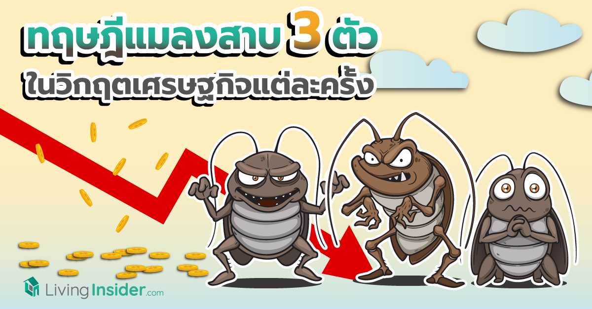 ทฤษฎีแมลงสาบ 3 ตัว ในวิกฤตเศรษฐกิจแต่ละครั้ง