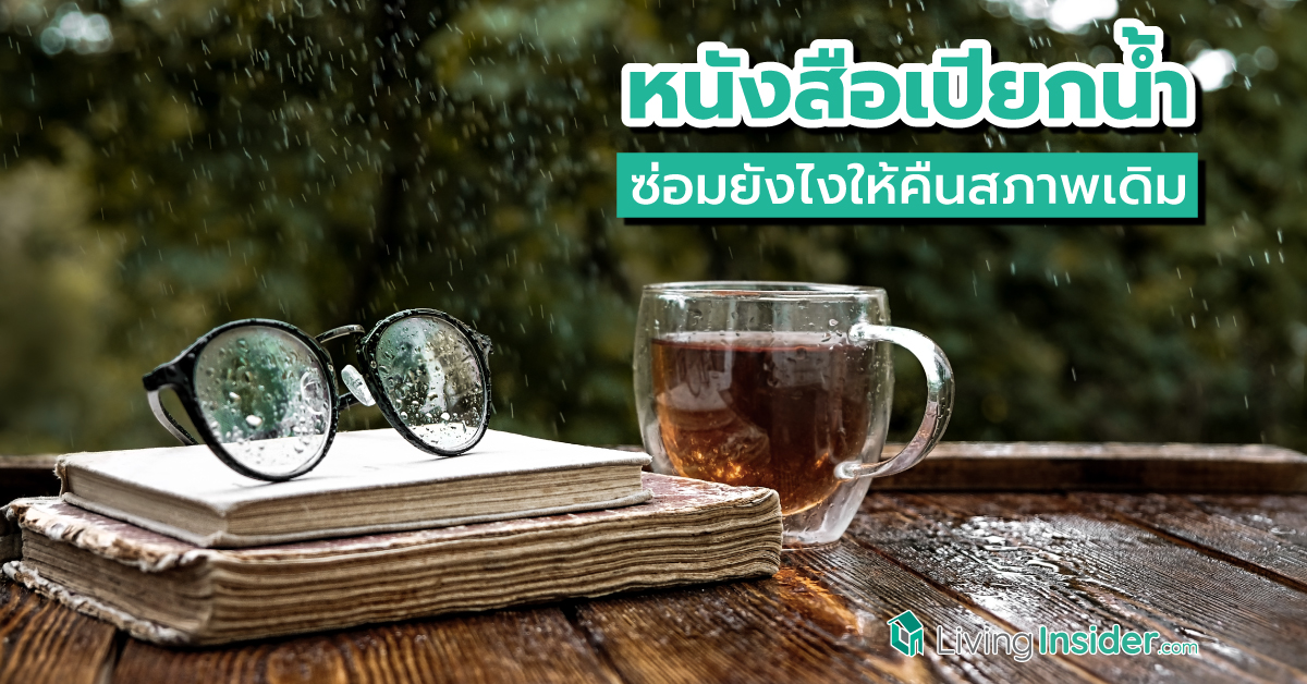 หนังสือเปียกน้ำ ซ่อมยังไงให้คืนสภาพเดิม ? รวมวิธีแก้ปัญหาหนังสือเปียกให้กลับมาเรียบสวยเหมือนเก่า