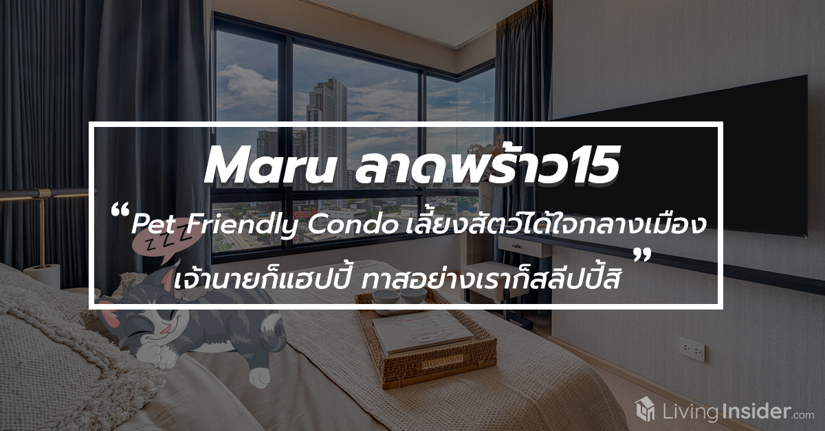 Maru ลาดพร้าว15 - Pet Friendly Condo คอนโดเลี้ยงสัตว์ได้ ใจกลางเมือง เจ้านายก็แฮปปี้  ทาสอย่างเราก็สลีปปี้สิ