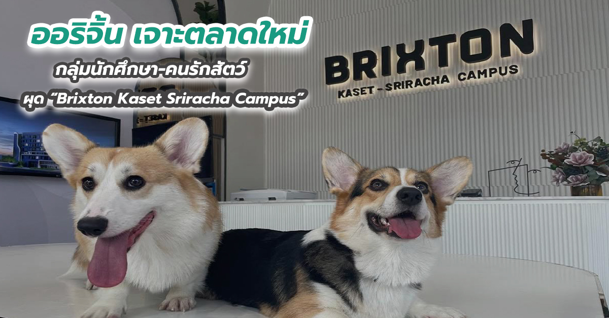 ออริจิ้น เจาะตลาดใหม่กลุ่มนักศึกษา-คนรักสัตว์ ผุด “Brixton Kaset Sriracha Campus”