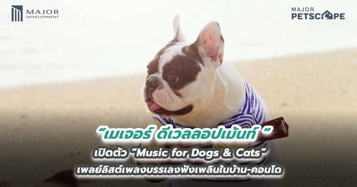 เมเจอร์ ดีเวลลอปเม้นท์ เปิดตัว “Music for Dogs & Cats” เพลย์ลิสต์เพลงบรรเลงฟังเพลินในบ้าน-คอนโด