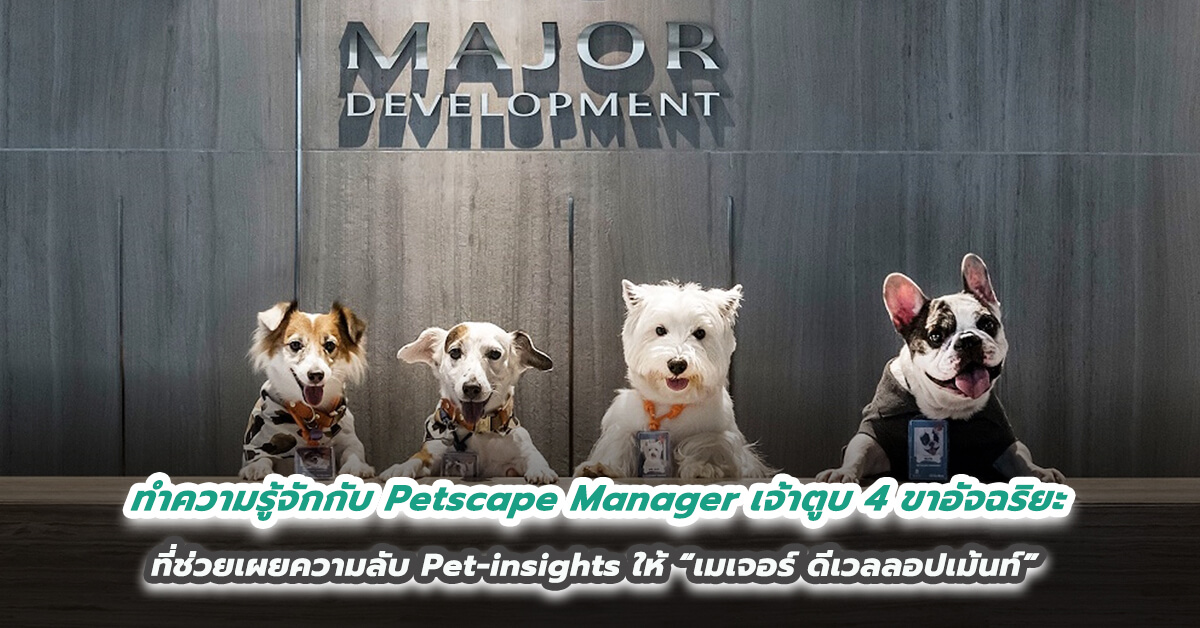  ทำความรู้จักกับ Petscape Manager เจ้าตูบ 4 ขาอัจฉริยะ ที่ช่วยเผยความลับ Pet-insights ให้ “เมเจอร์ ดีเวลลอปเม้นท์” นั่งแท่นเบอร์ 1 คอนโดเลี้ยงสัตว์ได้ทุกโครงการ 