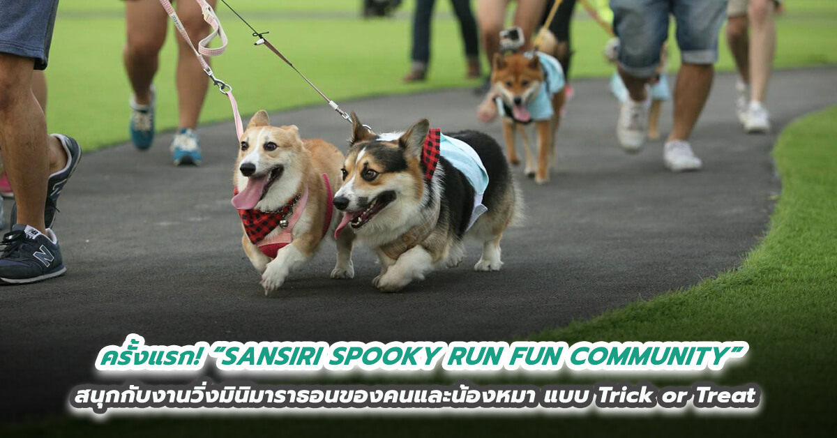 ครั้งแรก! “SANSIRI SPOOKY RUN FUN COMMUNITY” สนุกกับงานวิ่งมินิมาราธอนของคนและน้องหมา ในแบบ Trick or Treat 30 ต.ค.นี้ ที่ แสนสิริ กรุงเทพกรีฑา คอมมูนิตี้ 