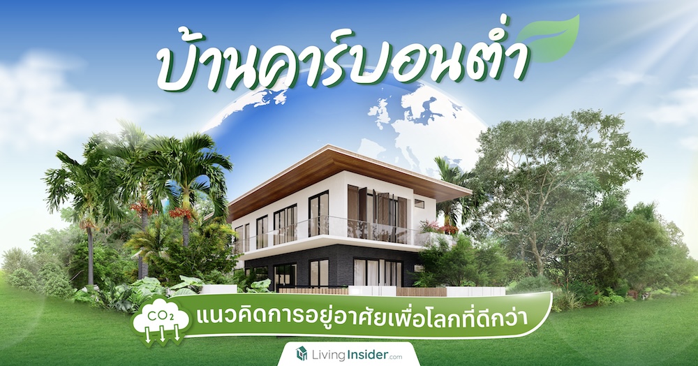 5 วิธีไล่แมลงหวี่ กำจัดแมลงหวี่ในบ้านแบบอยู่หมัด!