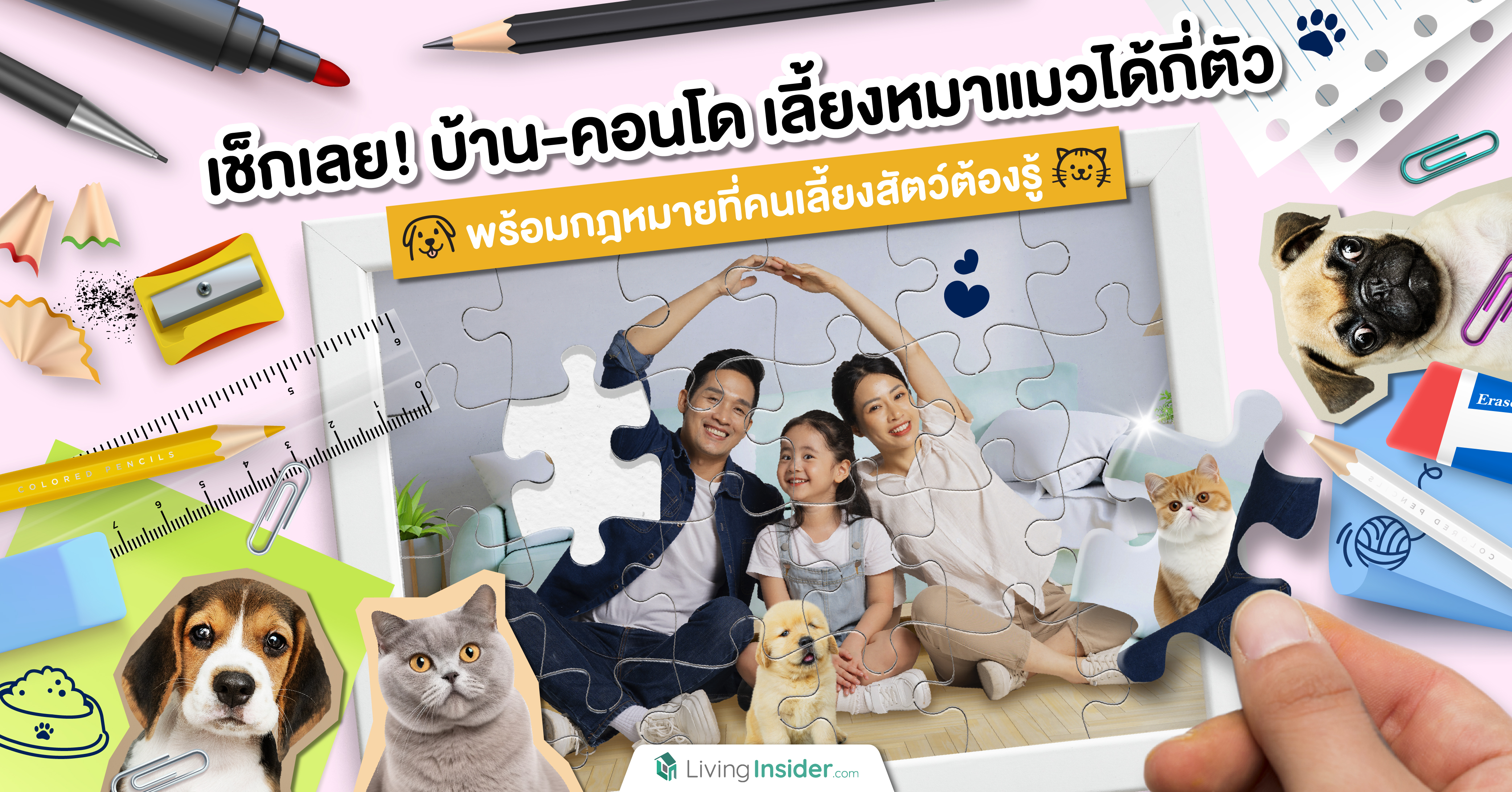 เช็กเลย! บ้าน-คอนโด เลี้ยงหมาแมวได้กี่ตัว พร้อมกฎหมายที่คนเลี้ยงสัตว์ต้องรู้