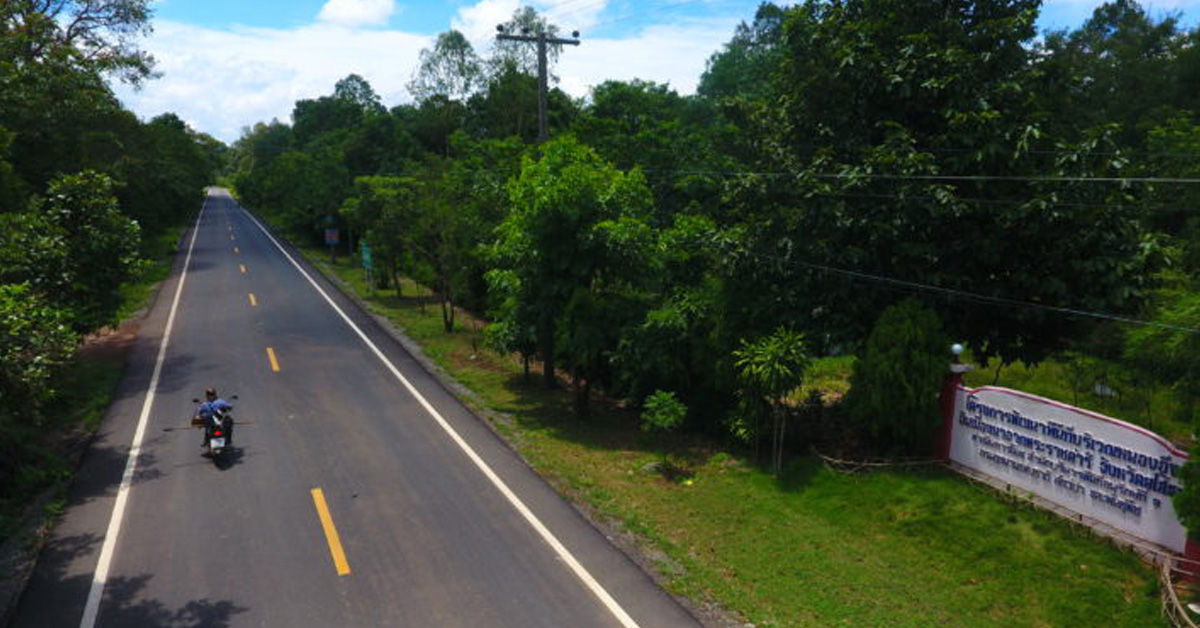 กรมทางหลวงชนบทสนับสนุนสายทางเข้าโครงการพัฒนาพื้นที่หนองอึ่งจ.ยโสธร อันเนื่องมาจากพระราชดำริ ร.10