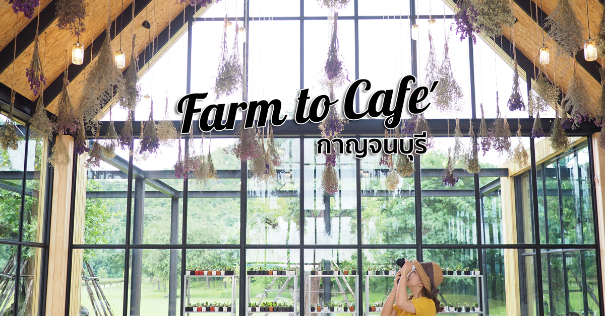 The Village Farm to Café  คาเฟ่ท่ามกลางขุนเขาที่กาญจนบุรี