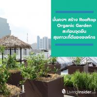 มั่นคงฯ สร้าง Rooftop Organic Garden ชวนพนักงานเพิ่มพื้นที่สีเขียว ปลูกผักอินทรีย์สะท้อนจุดยืน สุขภาวะที่ดี ขององค์กร