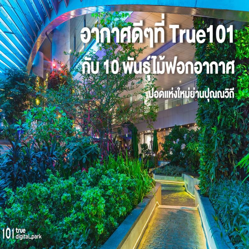 101 True Digital Park ตั้งการ์ดเข้มสู้โควิดรอบใหม่