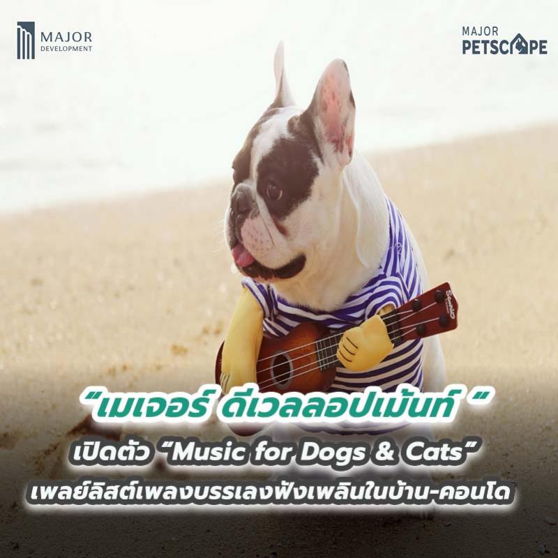 เมเจอร์ ดีเวลลอปเม้นท์ เปิดตัว “Music for Dogs & Cats” เพลย์ลิสต์เพลงบรรเลงฟังเพลินในบ้าน-คอนโด