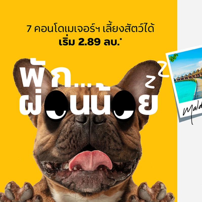 “เมเจอร์ ดีเวลลอปเม้นท์” ยกทัพ 7 คอนโด จัดแคมเปญใหญ่แห่งปี “พัก...ผ่อนน้อย”  พักฟรี! ทริปมัลดีฟส์* ผ่อนน้อยเริ่มล้านละ 2,500 บาท ในราคาเริ่มต้น 2.89 ล้าน