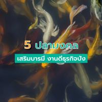 5 ปลามงคล เสริมบารมี งานดีธุรกิจปัง