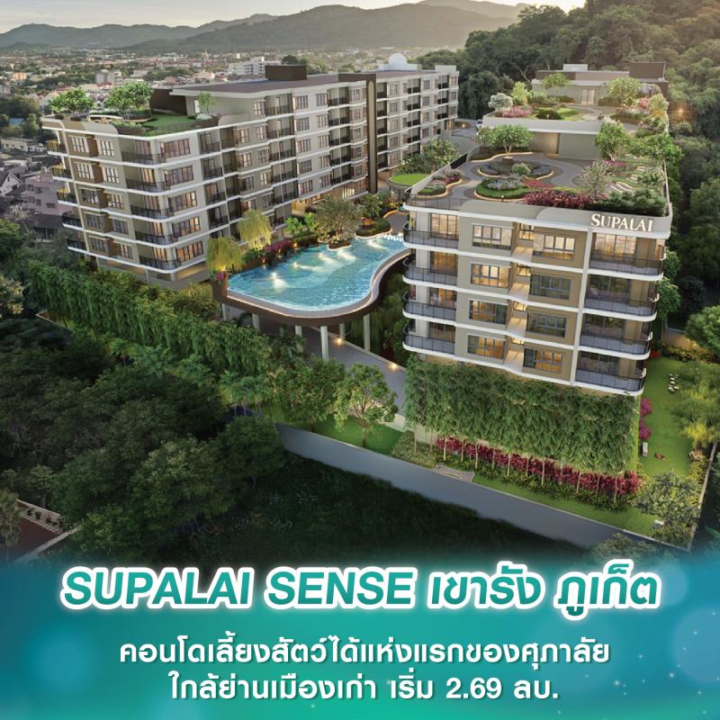 SUPALAI SENSE เขารัง ภูเก็ต คอนโดเลี้ยงสัตว์ได้แห่งแรกของศุภาลัย ห้องใหญ่ แต่งครบ ใกล้ย่านเมืองเก่า เริ่มต้น 2.69 ล้านบาท