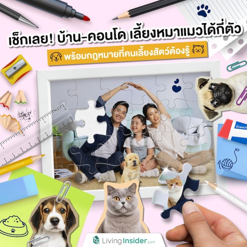 เช็กเลย! บ้าน-คอนโด เลี้ยงหมาแมวได้กี่ตัว พร้อมกฎหมายที่คนเลี้ยงสัตว์ต้องรู้