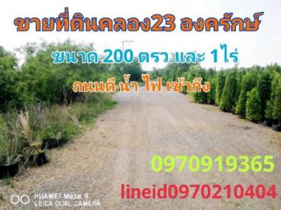 ขายที่ดินนครนายก : ขาย ที่ดิน สวนเกษตร บรรยากาศดี 1 ไร่ คลอง23 องครักษ์ นครนายก