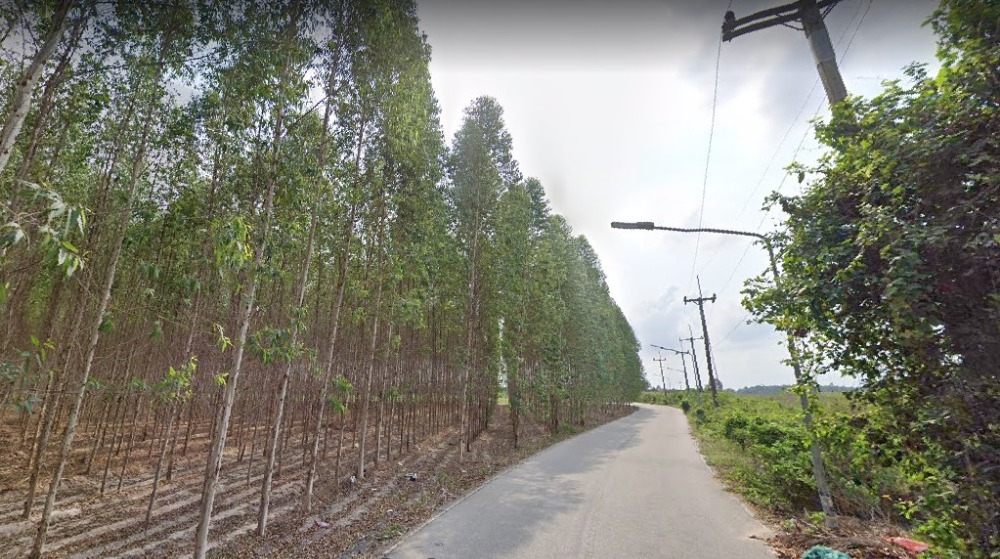 For SaleLandRayong : Land for sale Ban chang rayong 10-2-0 rai suitable for village