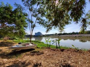 For SaleLandChiang Rai : Beautiful plot of land next to the Kok River. beautiful view all around in the city of Chiang Rai