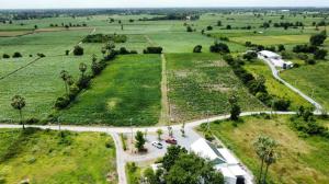 For SaleLandSuphan Buri : Land for sale, beautiful plot, excellent atmosphere, peaceful, private Easy to travel in and out of Suphanburi Province