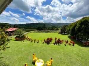 For SaleLandNakhon Nayok : Land near Sarika Waterfall, 9 rai, slack, hill panorama, houses, camping ground, orchards, 100 durian trees, fruit can be harvested