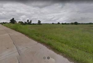 For SaleLandNakhon Sawan : Land for sale 31 rai 1 ngan 43 sq.wa., Mueang District, Nakhon Sawan Province.