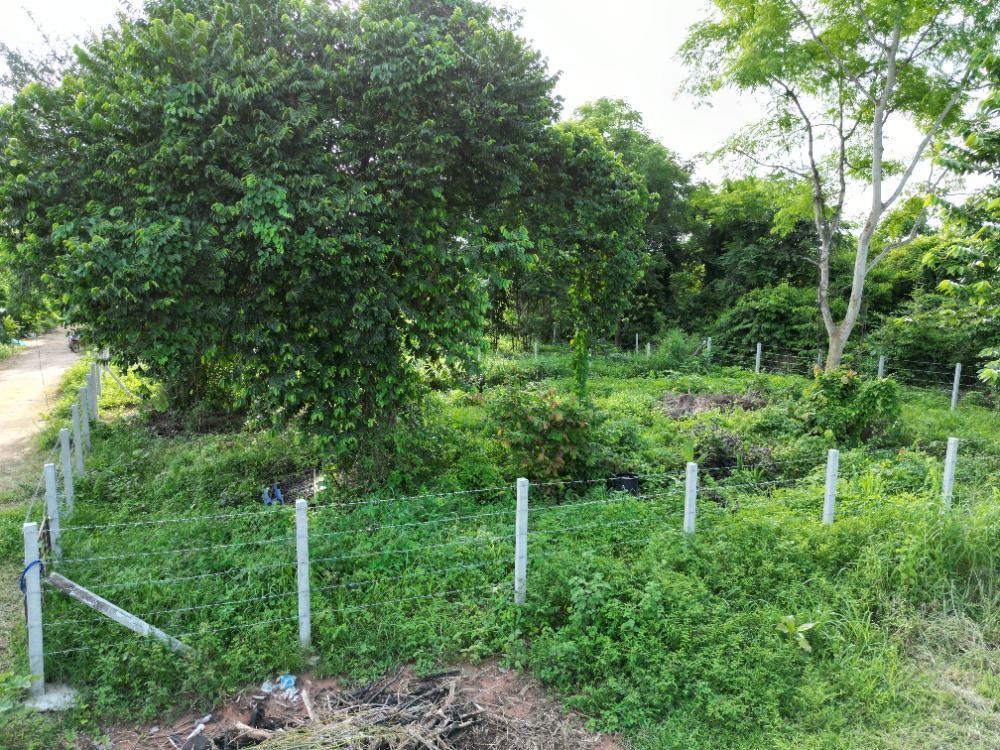 For SaleLandKhon Kaen : Land for sale, Khok Si Subdistrict, Mueang District, Khon Kaen Province, size 1 ngan, 70 meters from the 4-lane road.