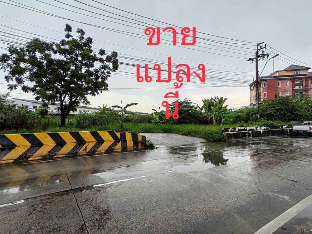 For SaleLandRama5, Ratchapruek, Bangkruai : Land for sale next to the river/河邊土地出售, plus a house in front of the road, next to the Bangkok Canal, Nakhon In Road, near Rama 5 Circle and Ratchaphruek Road.