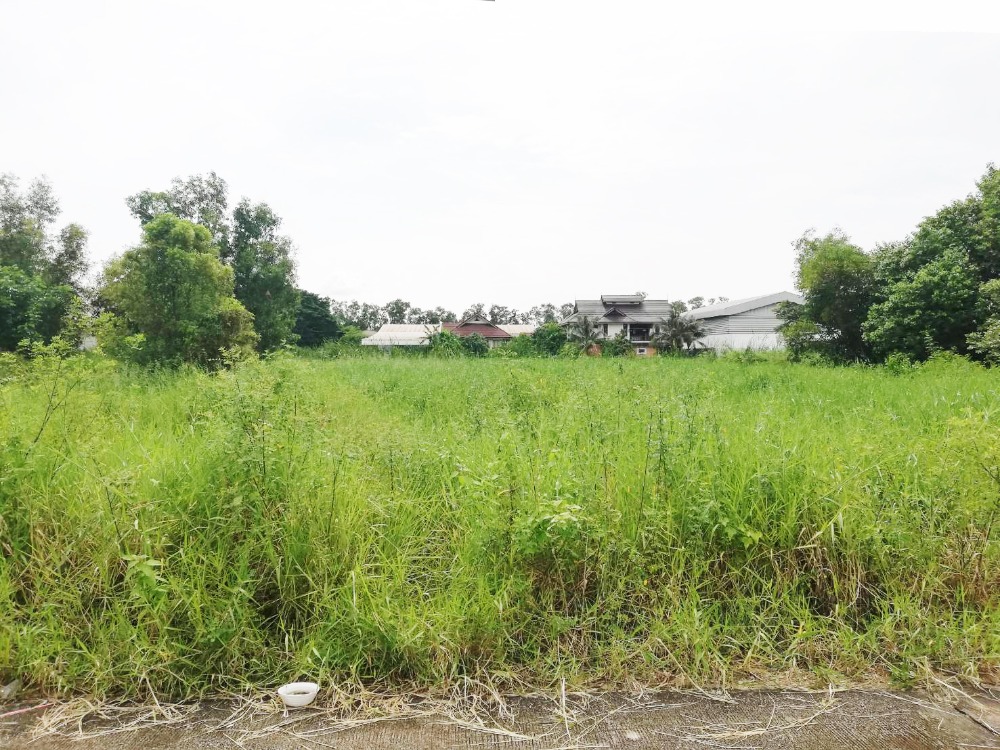 For SaleLandMin Buri, Romklao : Land 2 rai in Nongchok near Suwinthawong Road For Sale