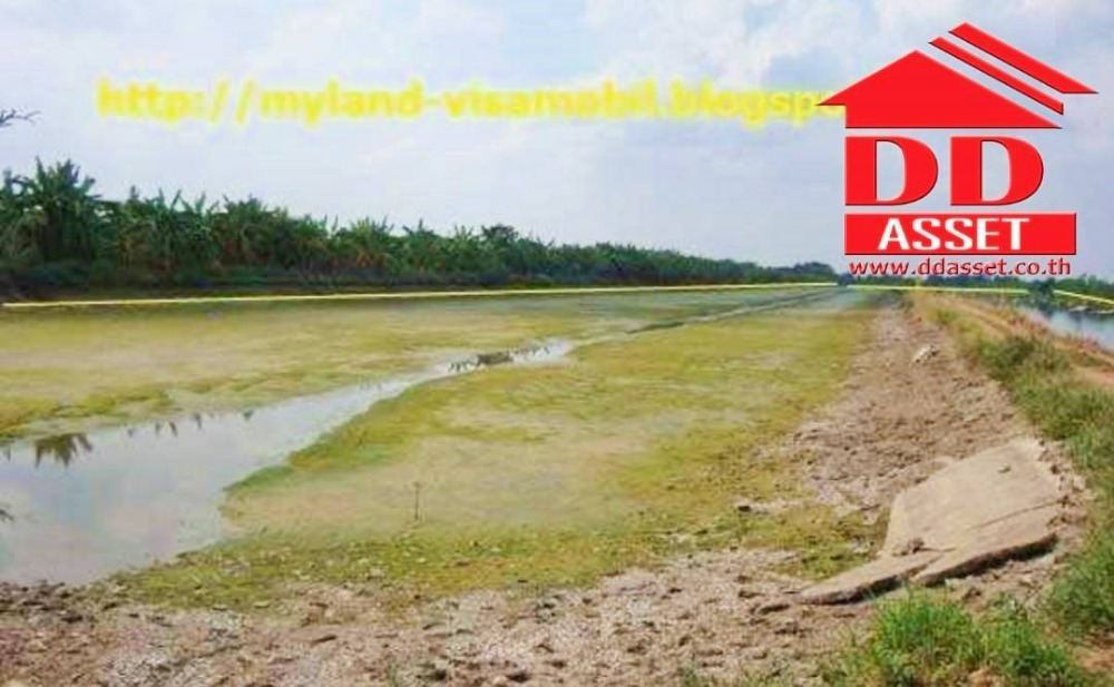 For SaleLandLadkrabang, Suwannaphum Airport : Land for sale, Lat Krabang, Khum Klao Road, Lam Pla Tiw, near Suvarnabhumi Airport, 6.5 million baht per rai.