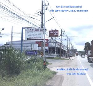 ขายที่ดินศรีราชา แหลมฉบัง บ้านบึง : ขายที่ดินผังเมือง EEC เนื้อที่ 12.5ไร่ ติดถนน 85เมตร ลึก 300เมตร ตำบลบึง ศรีราชา ชลบุรี ใกล้นิคมปิ่นทอง ใกล้ตลาดบึงวรกิจ ใกล้ ทล.3009