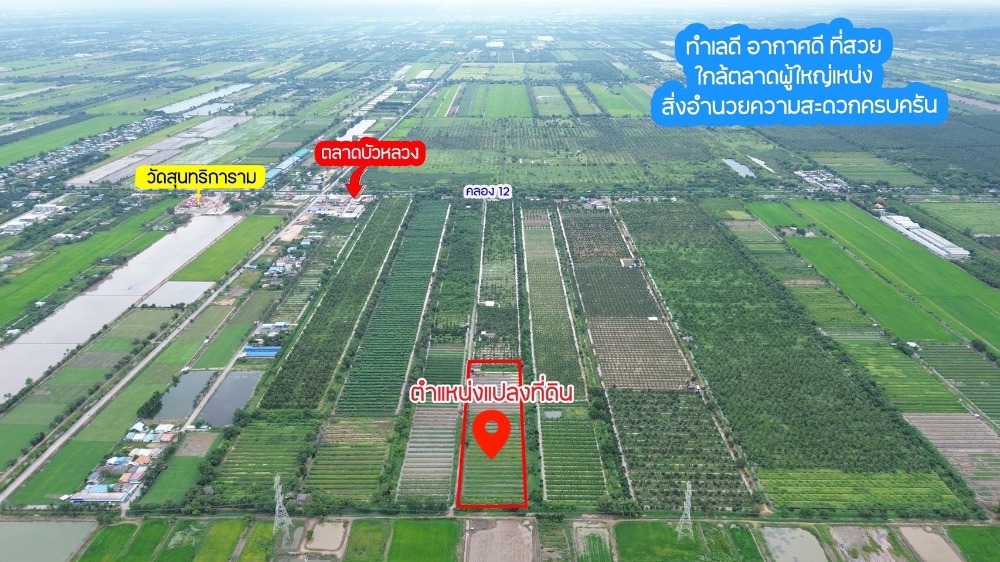 ขายที่ดินปทุมธานี รังสิต ธรรมศาสตร์ : ขายที่ดิน 15 ไร่ พร้อมบ้านพัก1 หลัง ราคาไร่ละ 900,000/ไร่(รับนายหน้า)