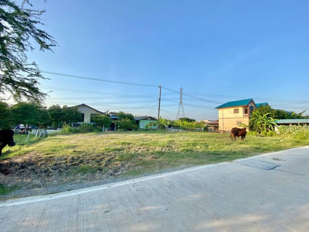 For RentLandNonthaburi, Bang Yai, Bangbuathong : Land for rent, reclamation, 197.4 sq m., Bang Bua Thong area. Bang Kruai - Sai Noi Road, enter Soi 5 minutes