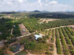 For SaleLandChanthaburi : Land for sale in longan plantation with houses (Patong Subdistrict, Soi Dao District, Chanthaburi Province) next to the road, total area of 37 rai.