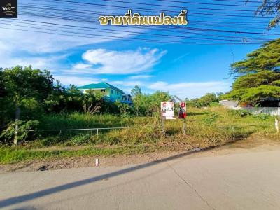 ขายที่ดินปทุมธานี รังสิต ธรรมศาสตร์ : ขายที่ดินเนื้อที่ 1-1-45 ไร่ ซ.วัดบางเตยใน อ.สามโคก จ.ปทุมธานี เหมาะสร้างบ้าน