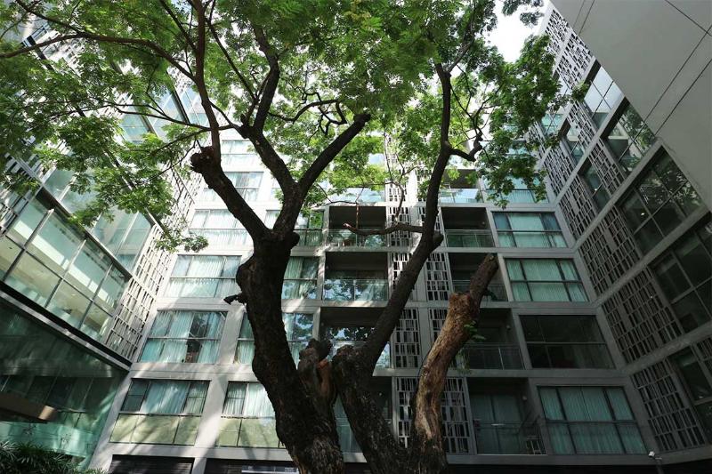 For RentCondoSukhumvit, Asoke, Thonglor : For Rent Via Botani 1 Bedroom 1 Bathroom 35 sqm