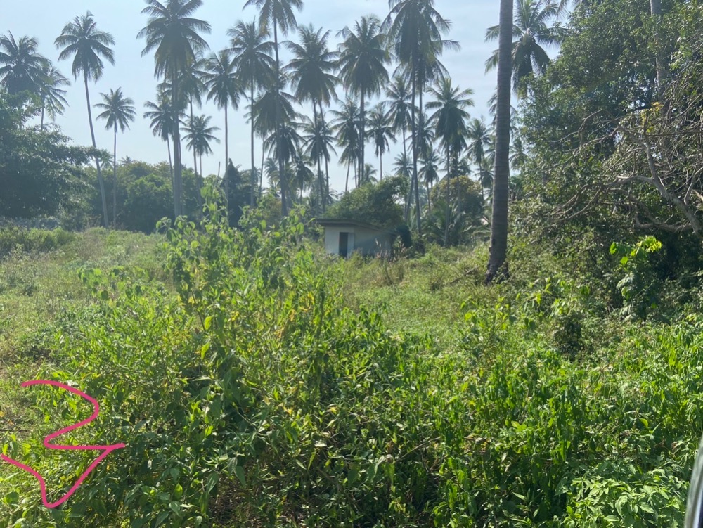 For SaleLandHuahin, Prachuap Khiri Khan, Pran Buri : The owner sells by himself!!! The price is negotiable! Land for sale with title deed 7 rai near Mae Ramphueng beach and Bang Saphan Yai reserved forest.