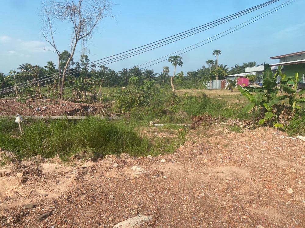 For SaleLandHuahin, Prachuap Khiri Khan, Pran Buri : Reduce energy for the new year! Land for sale with deed 20 rai near Bang Saphan Noi Market, Prachuap Province