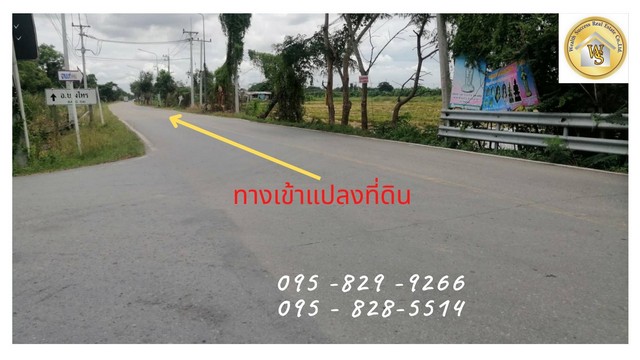 ขายที่ดินปทุมธานี รังสิต ธรรมศาสตร์ : ขายที่ดิน 49-1-29 ไร่ ติดถนนหลักสาธารณะ 12 ม.ใกล้ ม.ชินวัตร สาธารณูปโภค บางเตย-สามโคก ปทุมธานี