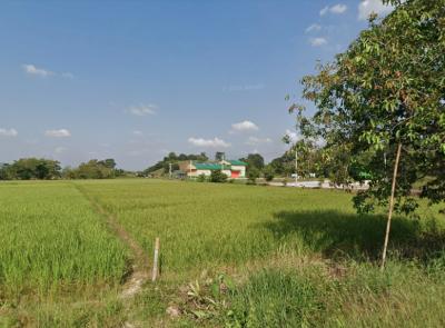 For SaleLandChiang Rai : Land for sale, beautiful plot, good location, in front of the road Invest in a variety of businesses, Chiang Rai Province