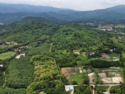 For SaleLandSaraburi : Land for sale, Tambon Kham, Amphoe Kaeng Khoi, 13 rai, next to a canal, with water all year round, rare and mountain views.