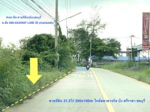 ขายที่ดินศรีราชา แหลมฉบัง บ้านบึง : ขายที่ดินผังเมือง EEC เนื้อที่ 21.5ไร่ ติดถนน 200เมตร ลึก 160เมตร ตำบลบึง ศรีราชา ชลบุรี ใกล้นิคมปิ่นทอง ใกล้ตลาดบึงวรกิจ