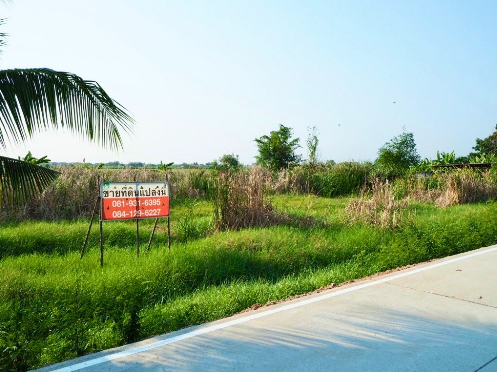 ขายที่ดินปทุมธานี รังสิต ธรรมศาสตร์ : ขายที่ดินเมืองปทุมธานี , บางหลวง, จ.ปทุมธานี  ใกล้วัดราษฏร์ศรัทธาทำ, วัดไพร่ฟ้า และ ใกล้ถนนราชพฤกษ์ ,ถนนกาญจนา ขนาด 1-1-12 ตร.วา (สนใจนัดชมห้องได้เลย ถูกใจคุยกันได้ครับ)