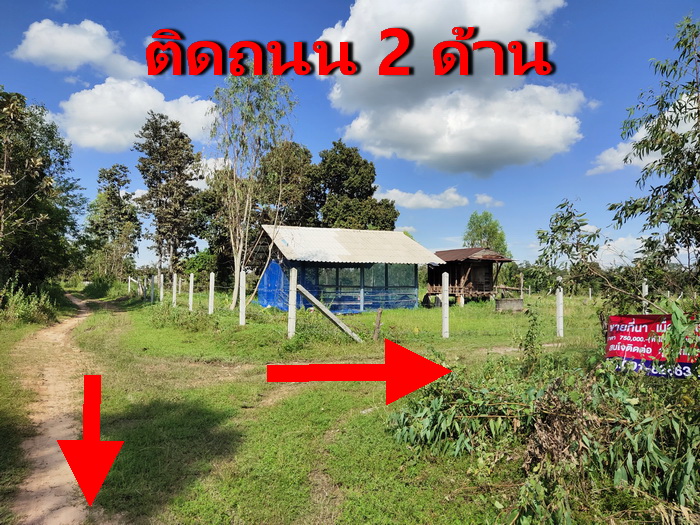 For SaleLandUbon Ratchathani : Land for sale at Ban Sanam Chai, Pibul Mangsahan District. Ubon Ratchathani Province