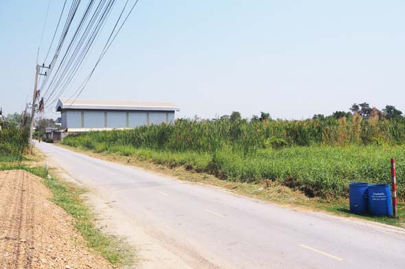 ขายที่ดินปทุมธานี รังสิต ธรรมศาสตร์ : ขายที่ดิน 709 ตร.ว คูบางหลวง ลาดหลุมแก้ว ปทุมธานี เหมาะสร้างโกดังหรือ โรงงาน