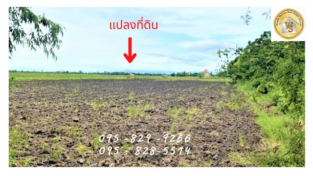 ขายที่ดินนครนายก : ขายที่ดินราคาถูกและสวย 10-0-60 ไร่  ที่ดินติดถนน ทำโคกหนองนา ไร่ละ 450,000 บาท หลังเกษียณ ใกล้คลองมโนรมและกังหันเงิน รีสอร์ท เกาะโพธิ์ อ ปากพลี นครนายก