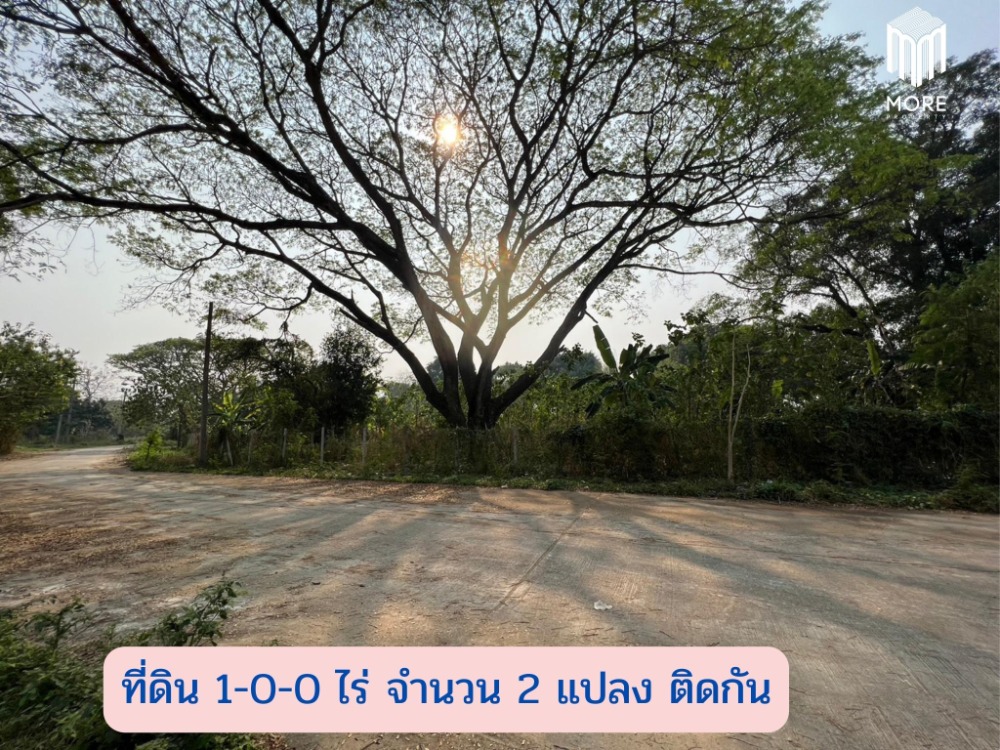 For SaleLandChiang Mai : MORE-123LS Land for sale in Soi Wat Don Kaew, 1 rai (400 sq.wah = 1,600 sq.m.), Don Kaeo Subdistrict, Mae Rim District, Chiang Mai.