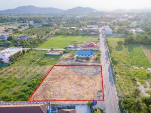 For SaleLandHuahin, Prachuap Khiri Khan, Pran Buri : Land for sale in Pranburi near the sea