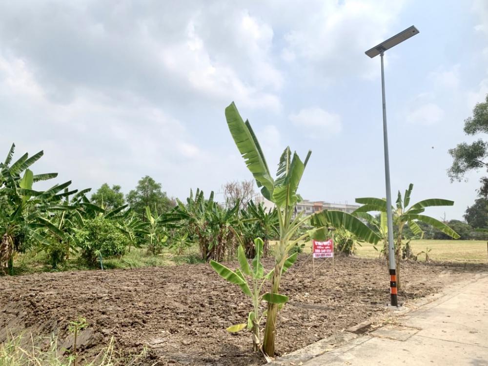 ขายที่ดินปทุมธานี รังสิต ธรรมศาสตร์ : ที่ดิน 100 ตร.วา  ซอยวัดไพร่ฟ้า ปทุมธานี