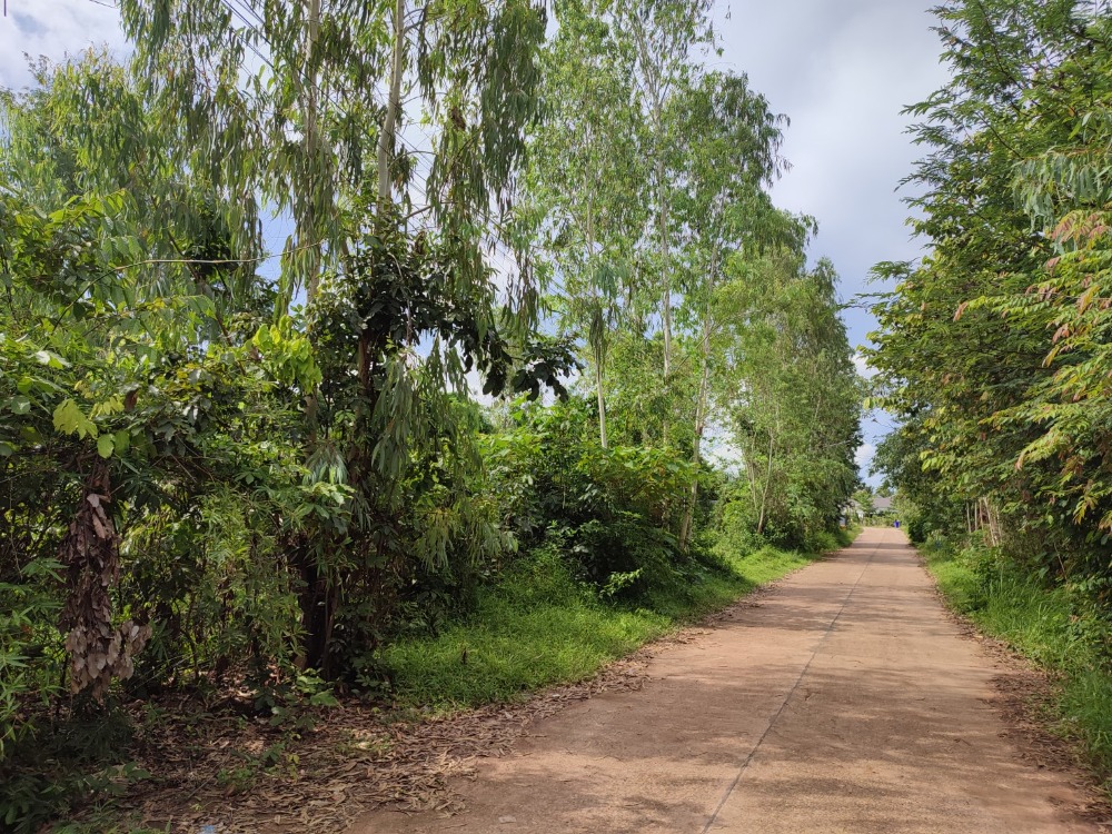 For SaleLandNakhon Phanom : Land with buildings at Si Songkhram District, Nakhon Phanom !!Direct deal from owner