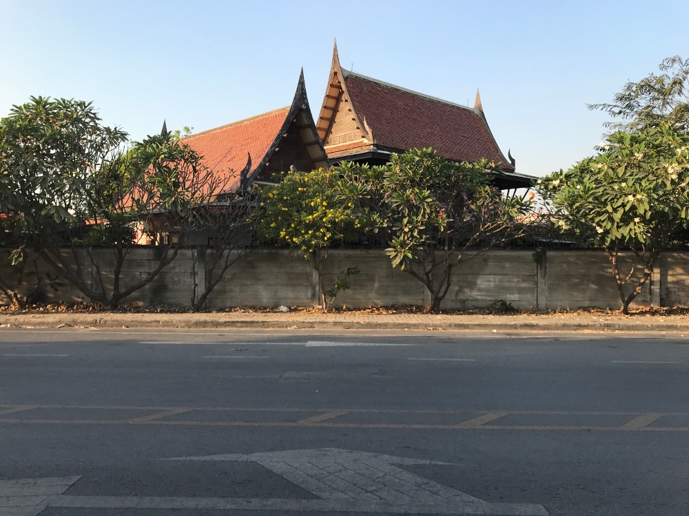 For SaleLandAyutthaya : large plot of land In the heart of Ayutthaya city island