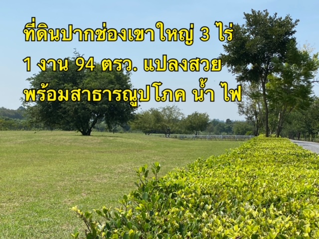 ขายที่ดินปากช่อง เขาใหญ่ : ขายที่ดิน ต. หนองสาหร่าย ปากช่อง เขาใหญ่ นครราชสีมา